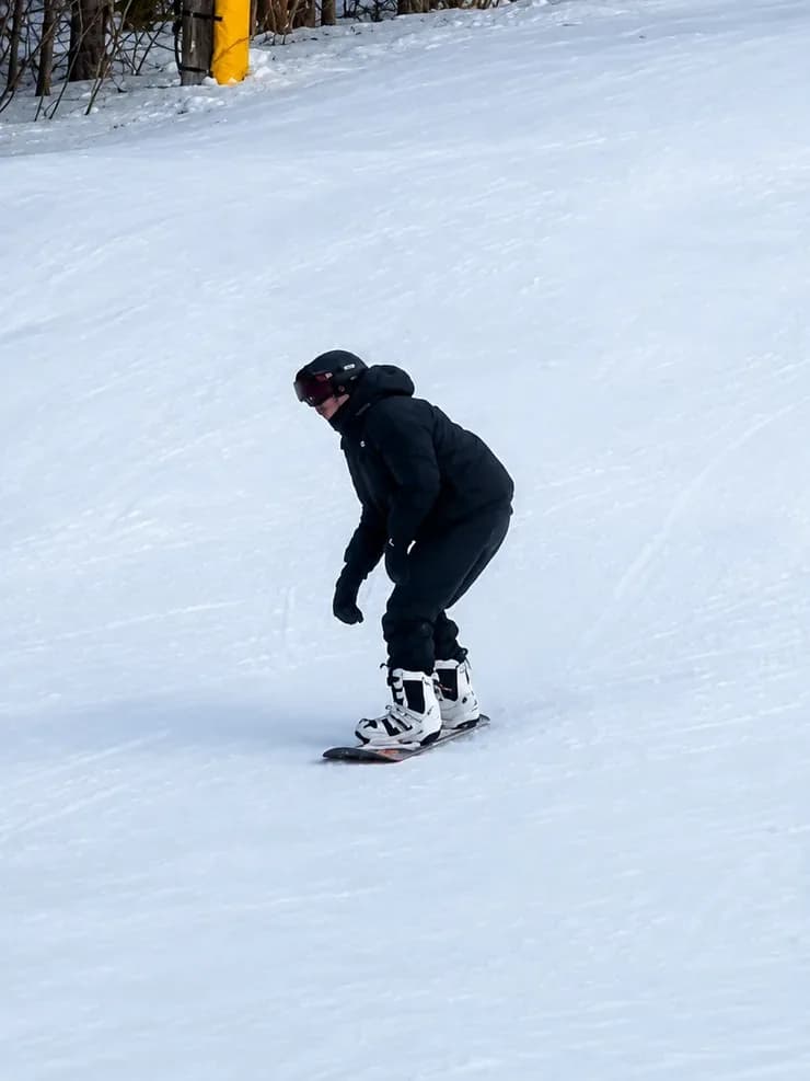 Riding a snowboard down a quiet groomed slope, pines along the treeline